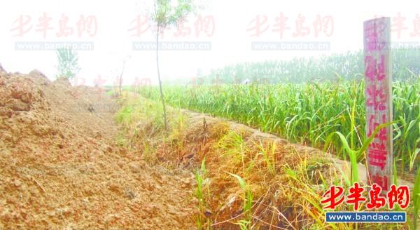 2011年底一名孩子在三輪車上趕作業(yè)。一年半過去了，這樣的場景仍隨處可見。