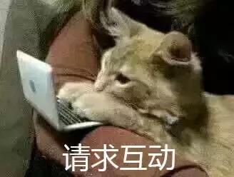 全市嚴(yán)查校車進(jìn)行時！您家孩子坐的車都被交警攔下了……