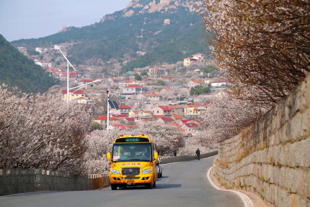 “大鼻子”校車開進(jìn)嶗山9年了，護(hù)航山區(qū)孩子上學(xué)路