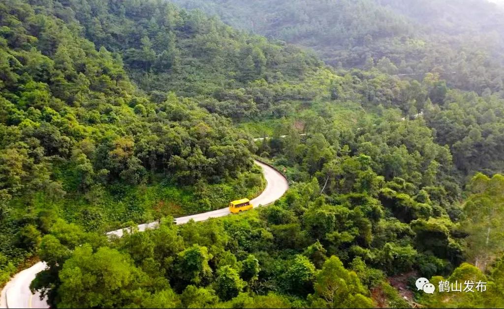 滴！滴！滴！古勞茶山村校車專線開通！