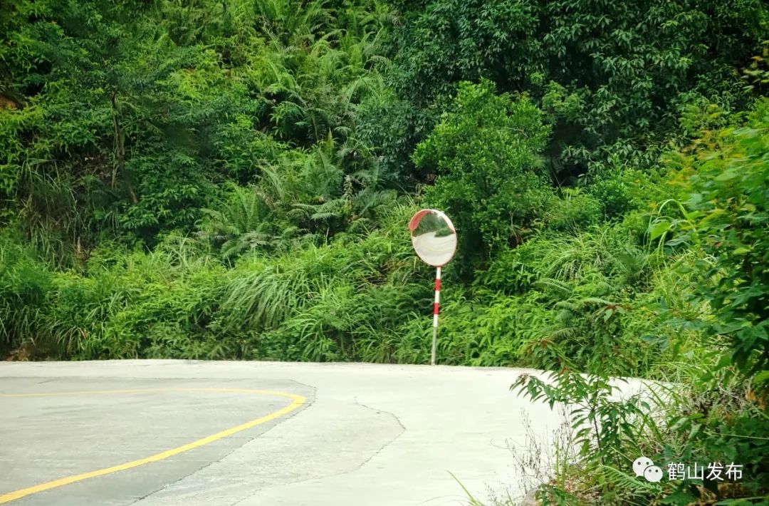 滴！滴！滴！古勞茶山村校車專線開通！