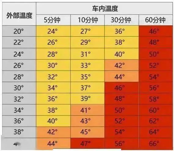 【大舒有話說】“校車奪命”悲劇一起都不應該有！