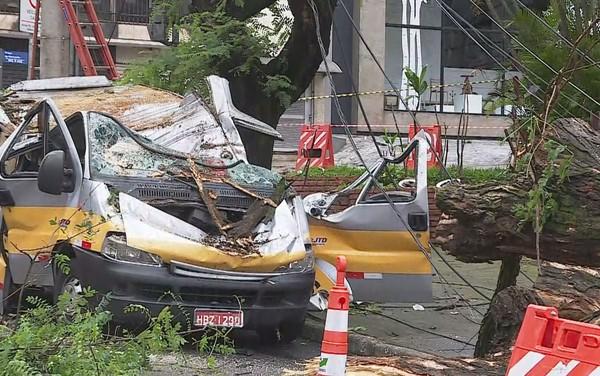 米納斯一校車被樹砸中 司機(jī)死前叫喊救孩子