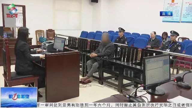 惠東一校車司機(jī)醉酒駕車 被判處危險駕駛罪拘役四個月